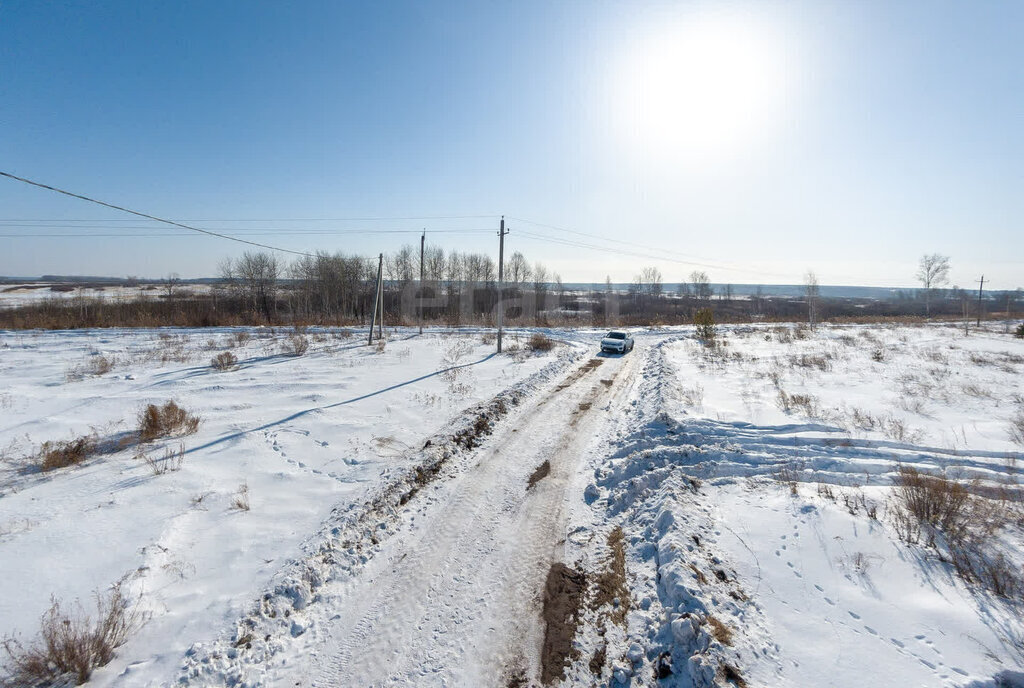 земля р-н Тюменский д Молчанова ул Береговая фото 13