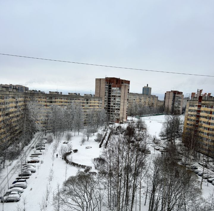 квартира г Санкт-Петербург метро Проспект Просвещения ш Выборгское 27к/3 фото 18