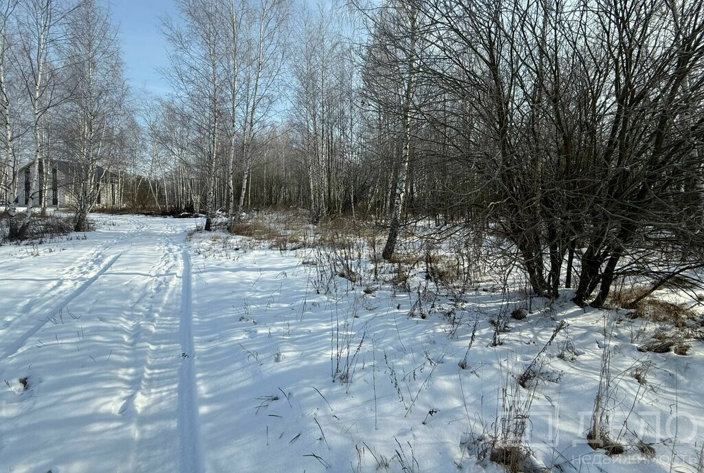 земля р-н Рязанский с Дубровичи Дубровическое сельское поселение фото 1