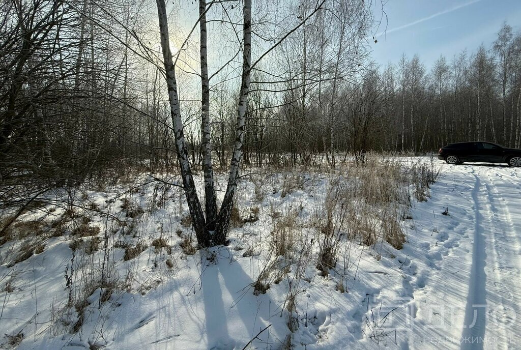 земля р-н Рязанский с Дубровичи Дубровическое сельское поселение фото 6