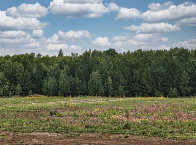 Республика Татарстан Татарстан, Танайское сельское поселение, Елабуга фото