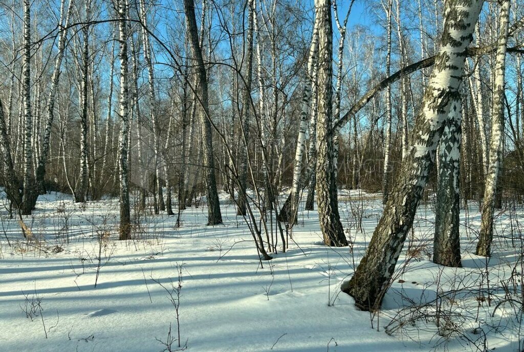 дом р-н Тюменский ДНТ Янтарное, Лунный проезд фото 1