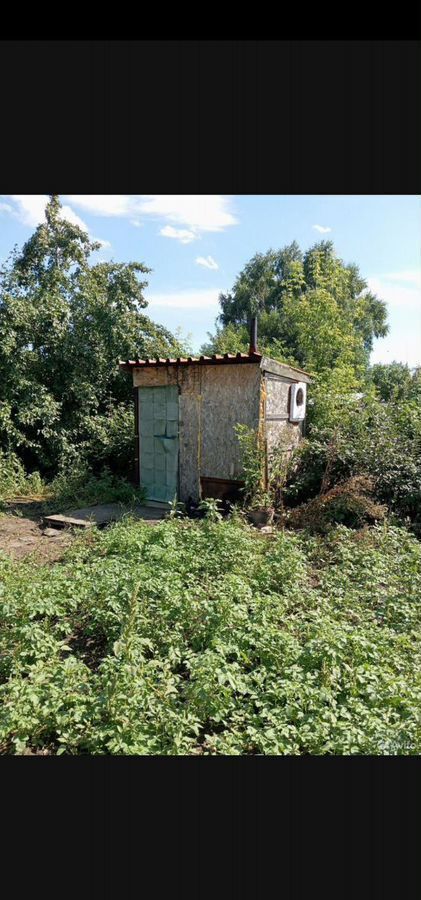 дом р-н Алейский п Солнечный ул Березовая Заветильичевский сельсовет, Алейск фото 6