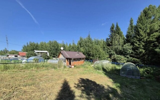 садово-огороднический кооператив Витамин, Тюменская обл. фото