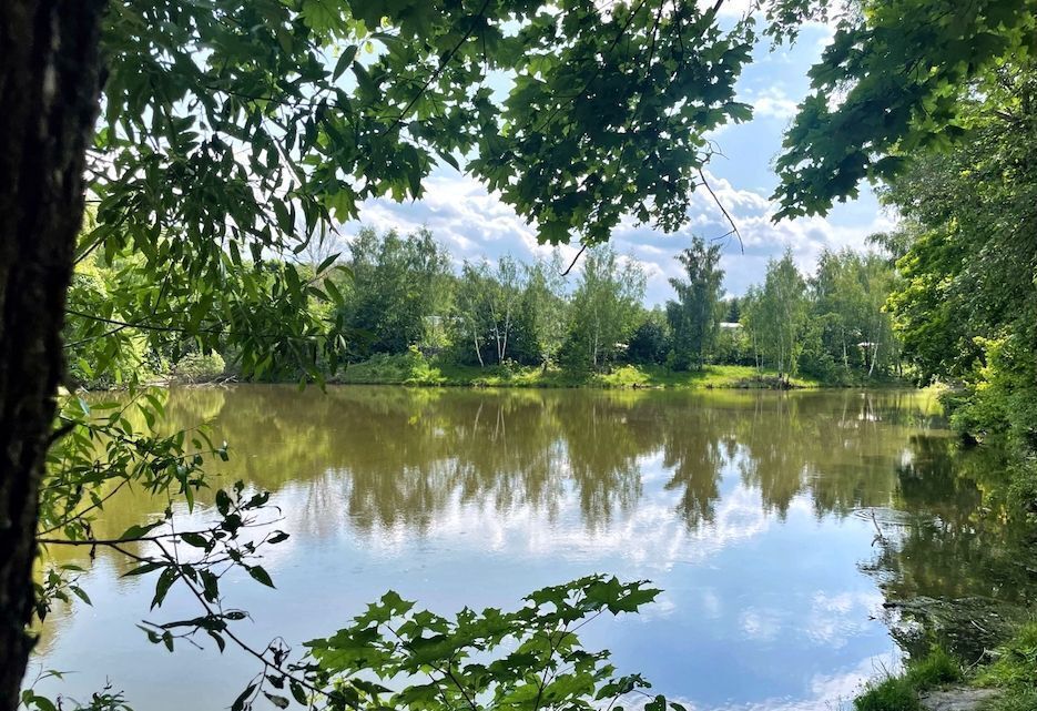 земля городской округ Истра дп Снегири 26 км, коттеджный пос. Зеландия, Волоколамское шоссе фото 3