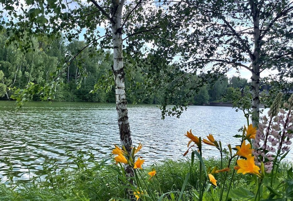 земля городской округ Истра дп Снегири 26 км, коттеджный пос. Дарьино парк, Пятницкое шоссе фото 3