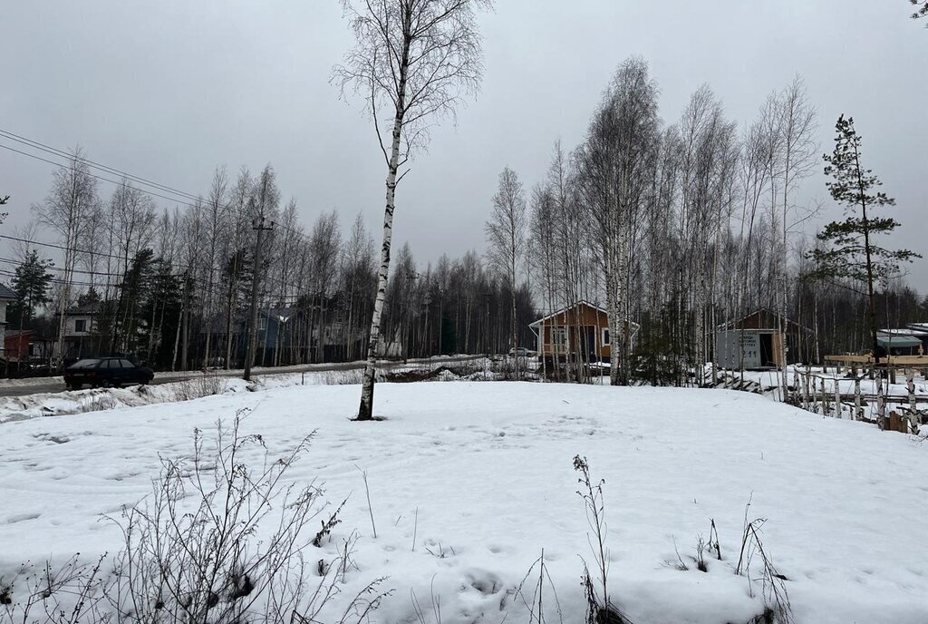 земля р-н Всеволожский снт Родничковое Всеволожское городское поселение, Северная улица фото 4