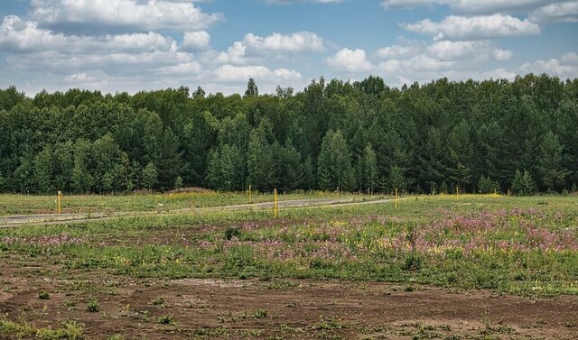 земля снт Заветы Мичурина ул Грушевая 104 фото