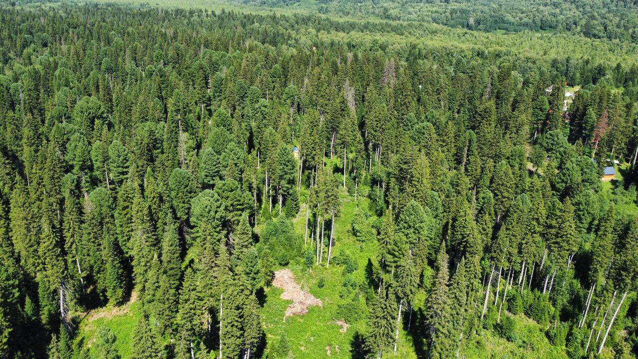 дом р-н Томский д Казанка ул Сосновая 2 фото 9