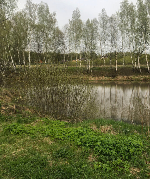 земля городской округ Чехов д Репниково снт Химик-2 фото 9