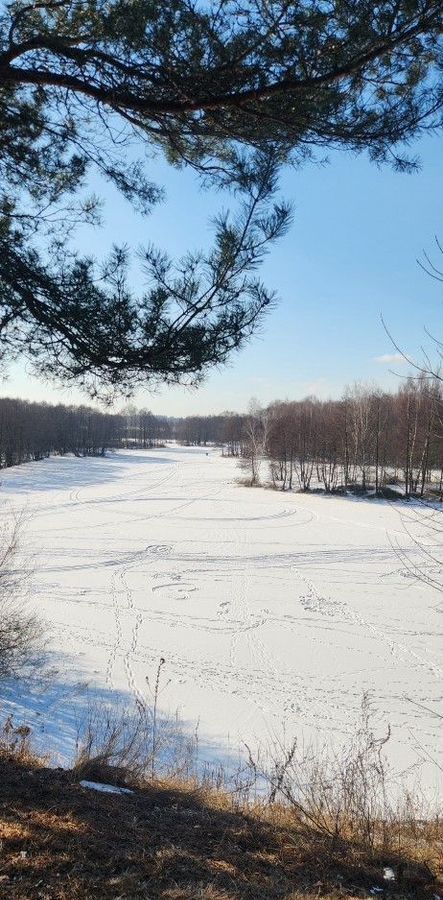 земля городской округ Раменский д Первомайка 25 км, Жуковский, Рязанское шоссе фото 10