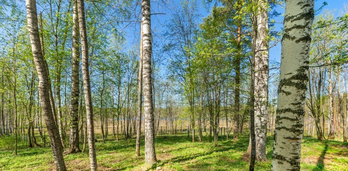 дом р-н Всеволожский массив Грузино снт Ветеран Куйвозовское с/пос, Лэйк Вью кп фото 11