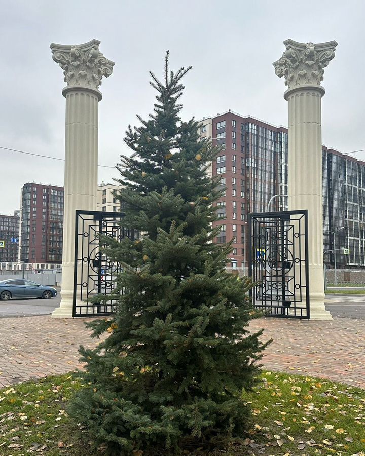 квартира г Санкт-Петербург метро Комендантский Проспект пр-кт Авиаконструкторов 61 фото 16