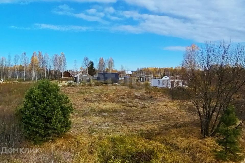 земля г Тюмень Тюмень городской округ, СНТ Берёзка Центральный округ фото 4