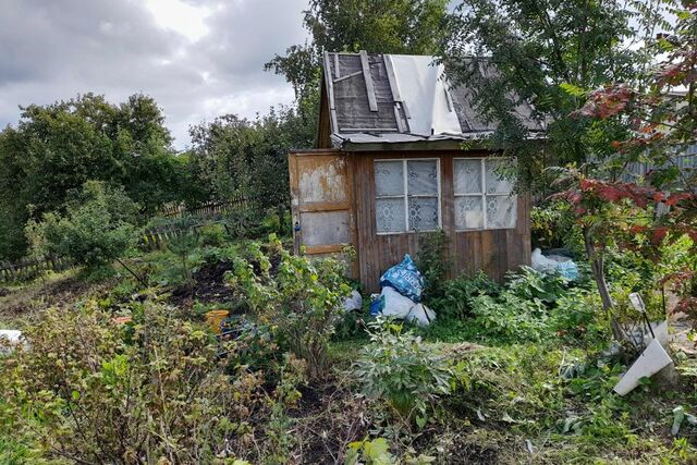 Тюмень городской округ, СО Мичуринец фото