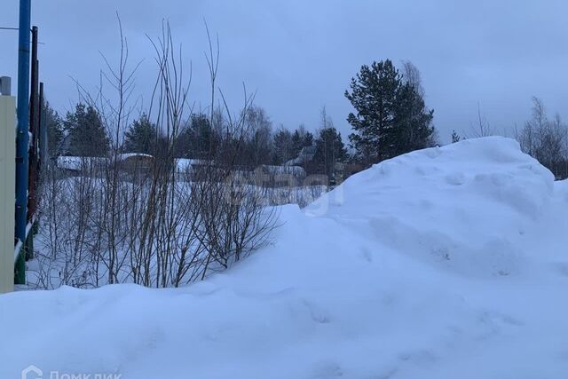 Сургут городской округ, ПОК Многодетная семья фото