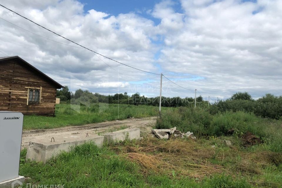 земля г Тюмень Тюмень городской округ, ДНТ Большое Царёво - 1 фото 4