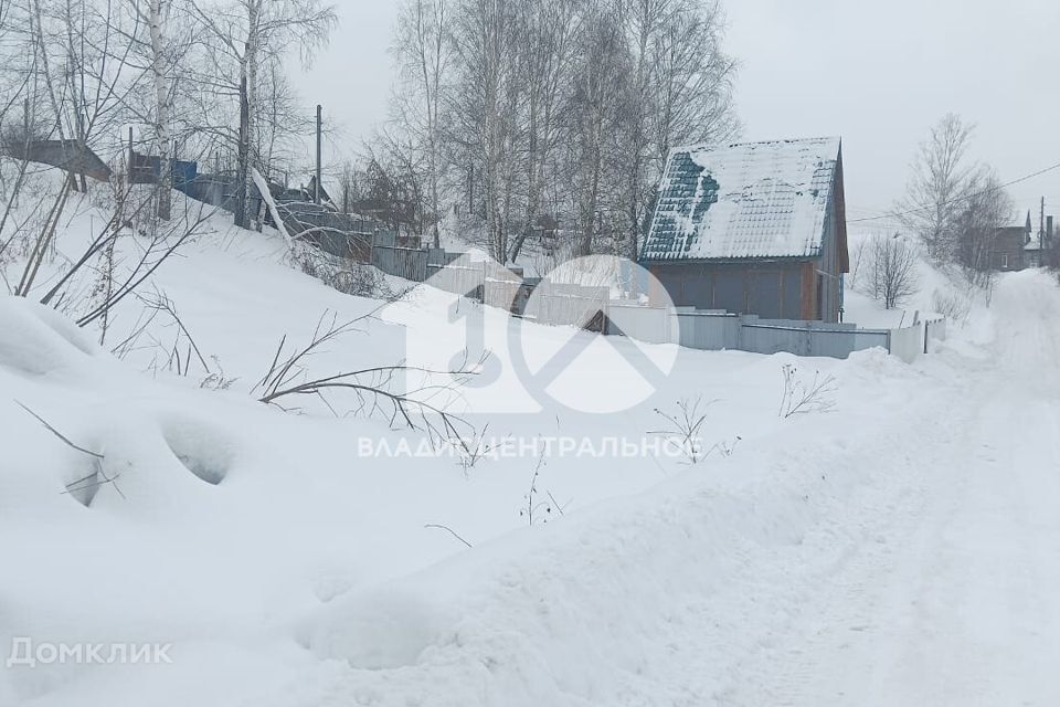 земля г Новосибирск СТ Калинка, Новосибирский район фото 3