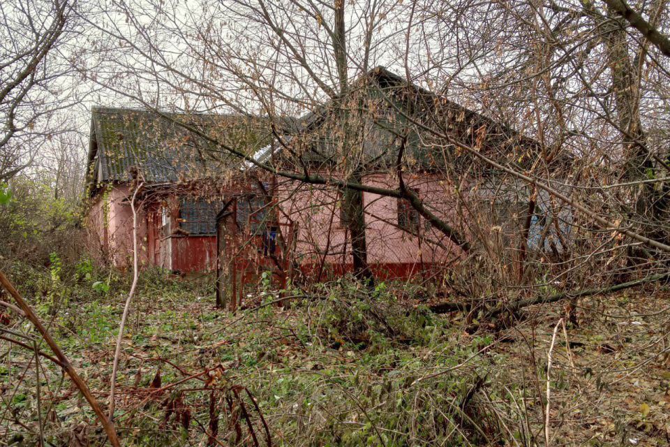 дом р-н Корсаковский д. Нечаево фото 4