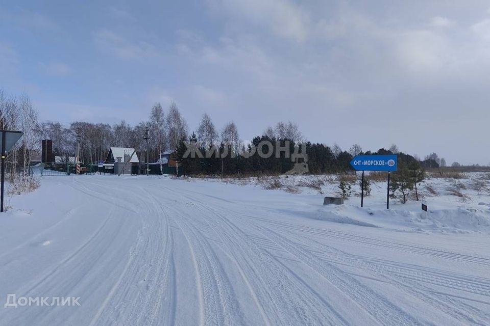 земля р-н Новосибирский СНТ Морское фото 2