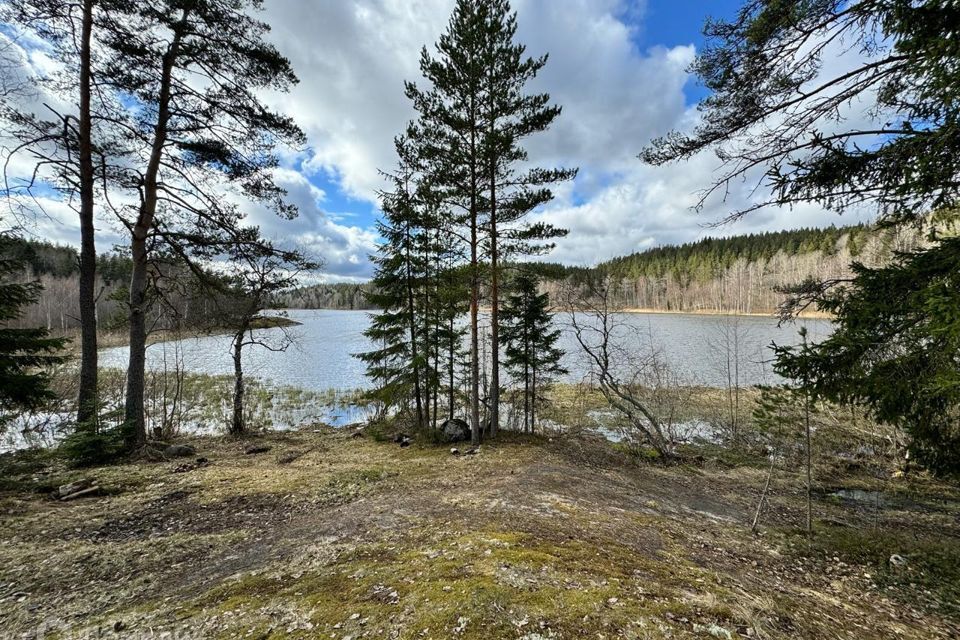 земля р-н Лахденпохский Национальный парк Ладожские шхеры фото 3