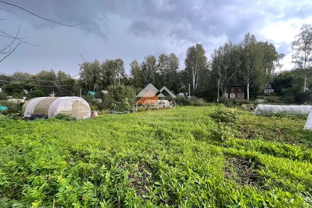 СНТ Заря, Новосибирск городской округ фото