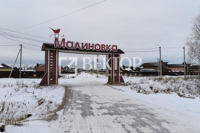 Кострома городской округ, Малиновка фото