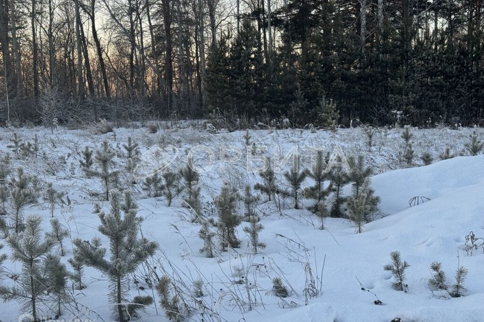 земля р-н Тюменский д Ушакова ул Зеленая фото 2