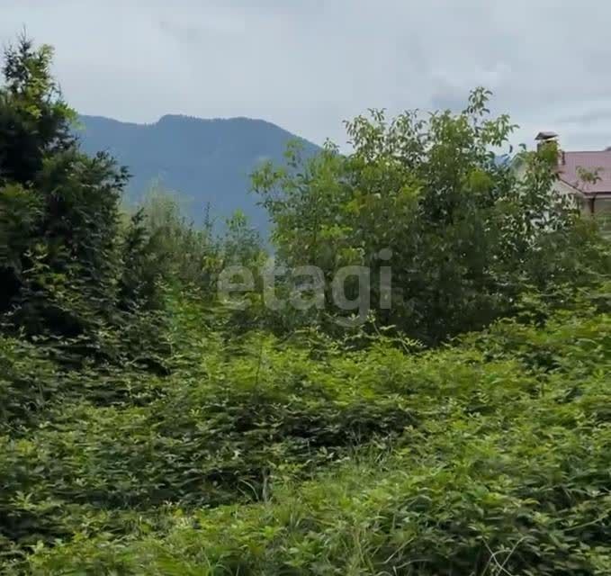 земля Сочи городской округ, с. Эстосадок фото 2