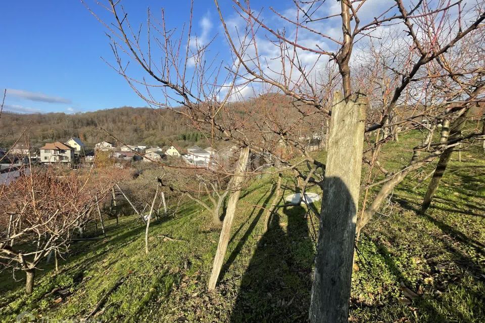 земля Сочи городской округ, с. Васильевка фото 3