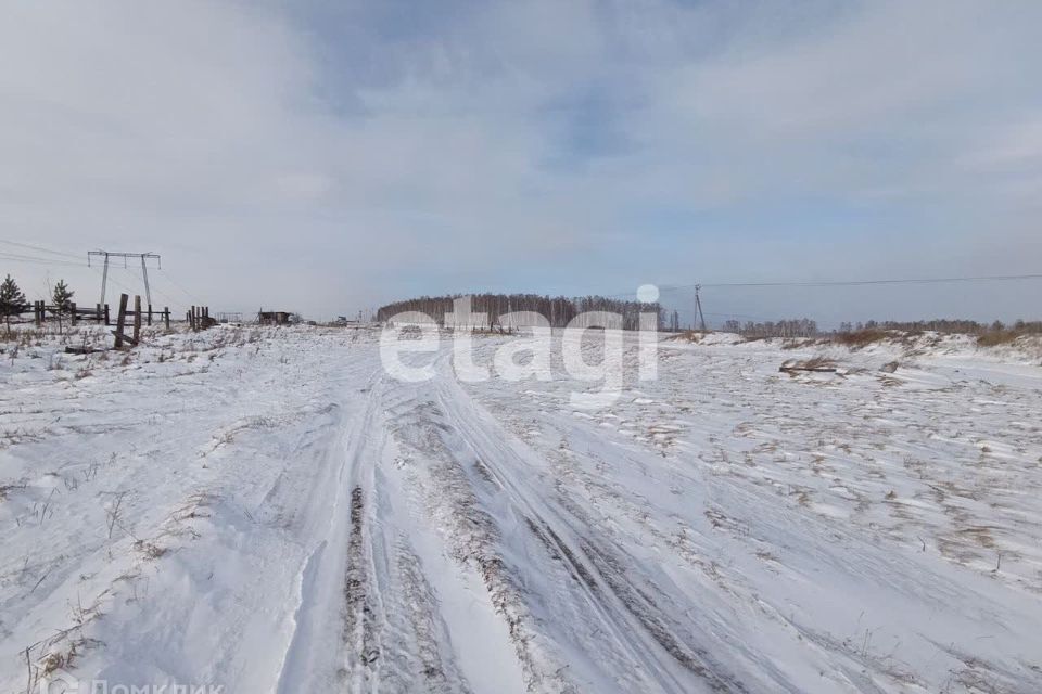 земля р-н Емельяновский фото 3