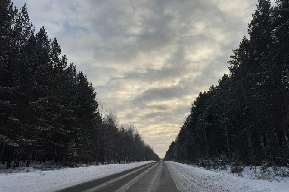 земля р-н Тюменский с. Салаирка фото 8