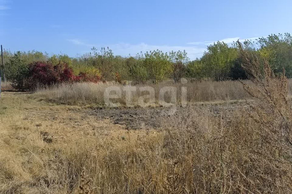 земля р-н Дубровский д Старое Колышкино ул Ветеранов 3 фото 8