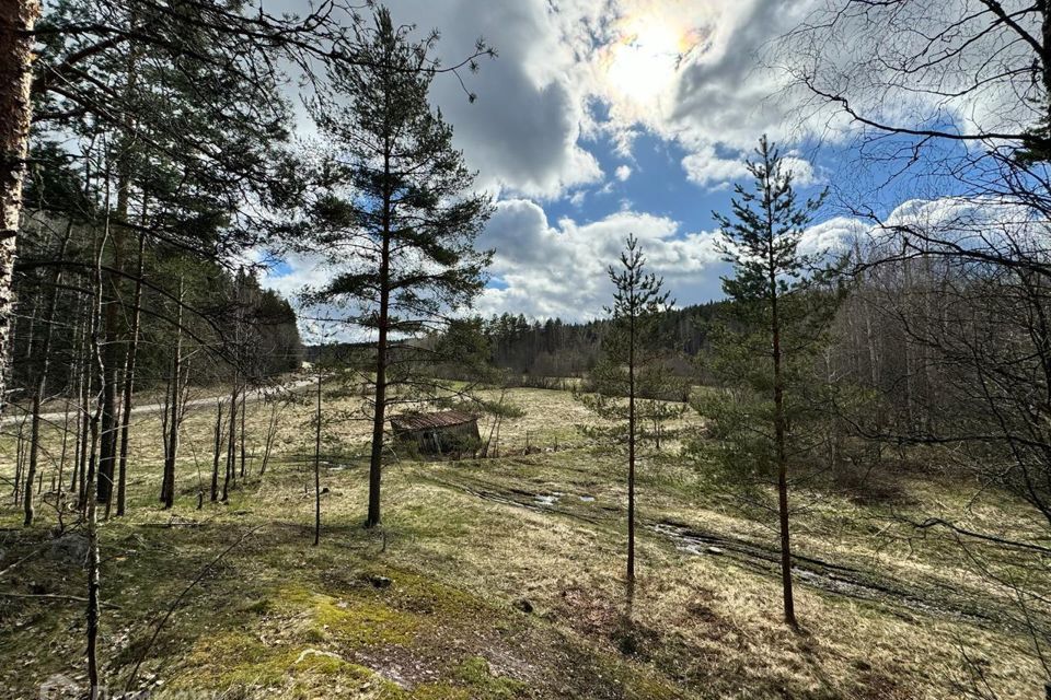 земля р-н Лахденпохский Национальный парк Ладожские шхеры фото 8