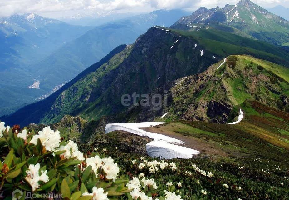 земля Сочи городской округ, с. Эстосадок фото 6