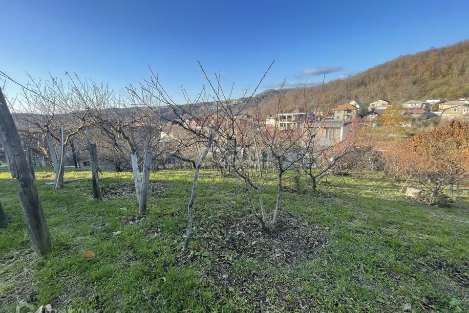 земля Сочи городской округ, с. Васильевка фото 7