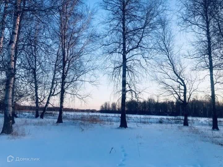 земля р-н Тюменский пос. Московский фото 5