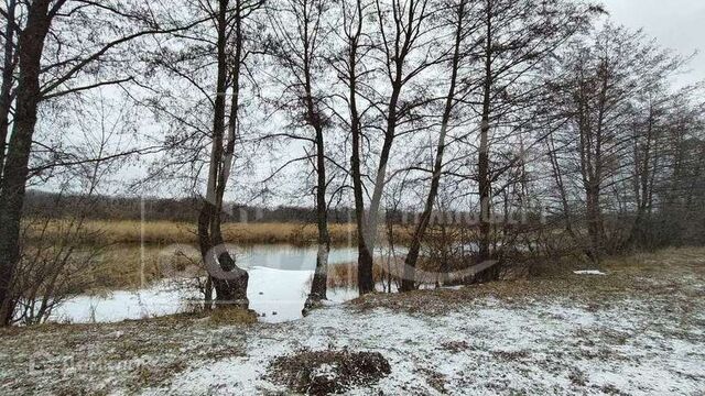 рп Рамонь ул Тутукова 51 фото