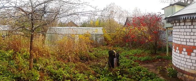 ул Новошкольная 8 Нижний Новгород городской округ фото