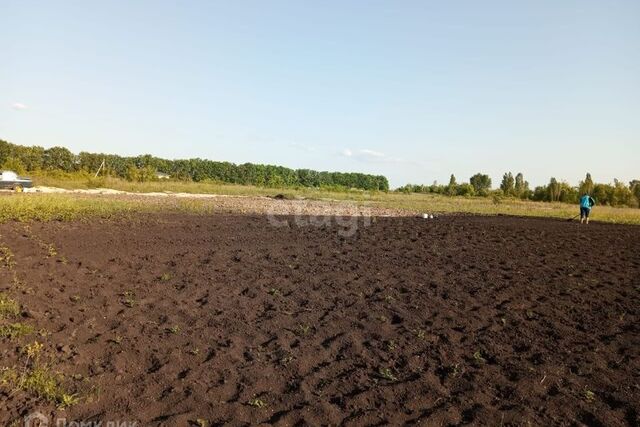 Северо-Восточный, Старооскольский городской округ фото