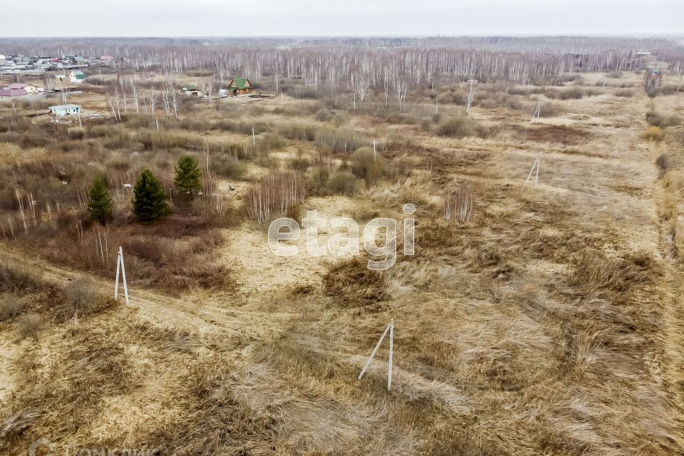 земля г Тюмень снт Светлое Тюмень городской округ, 5-я Степная улица фото 4