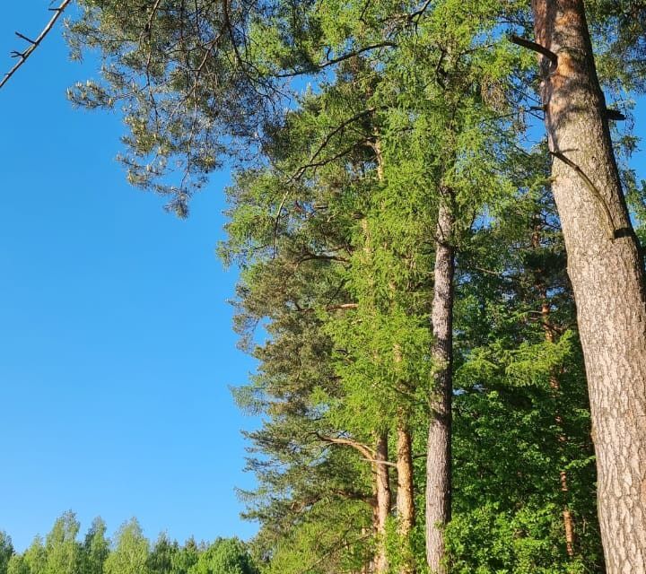 земля городской округ Коломенский с Северское ул Парковая Коломна городской округ фото 4