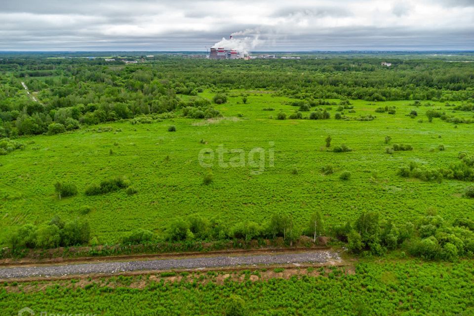 земля р-н Хабаровский фото 6