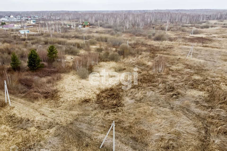 земля г Тюмень снт Светлое Тюмень городской округ, 5-я Степная улица фото 6