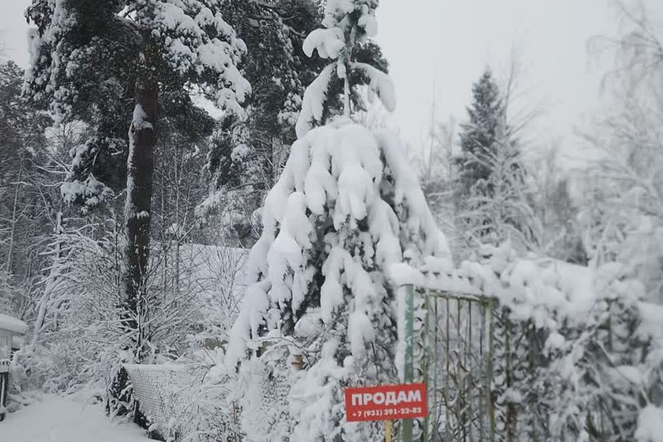 земля р-н Всеволожский СНТ 1 ЦНИИ А. Н. Крылова фото 10