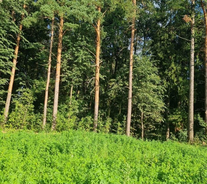 земля городской округ Коломенский с Северское ул Парковая Коломна городской округ фото 5