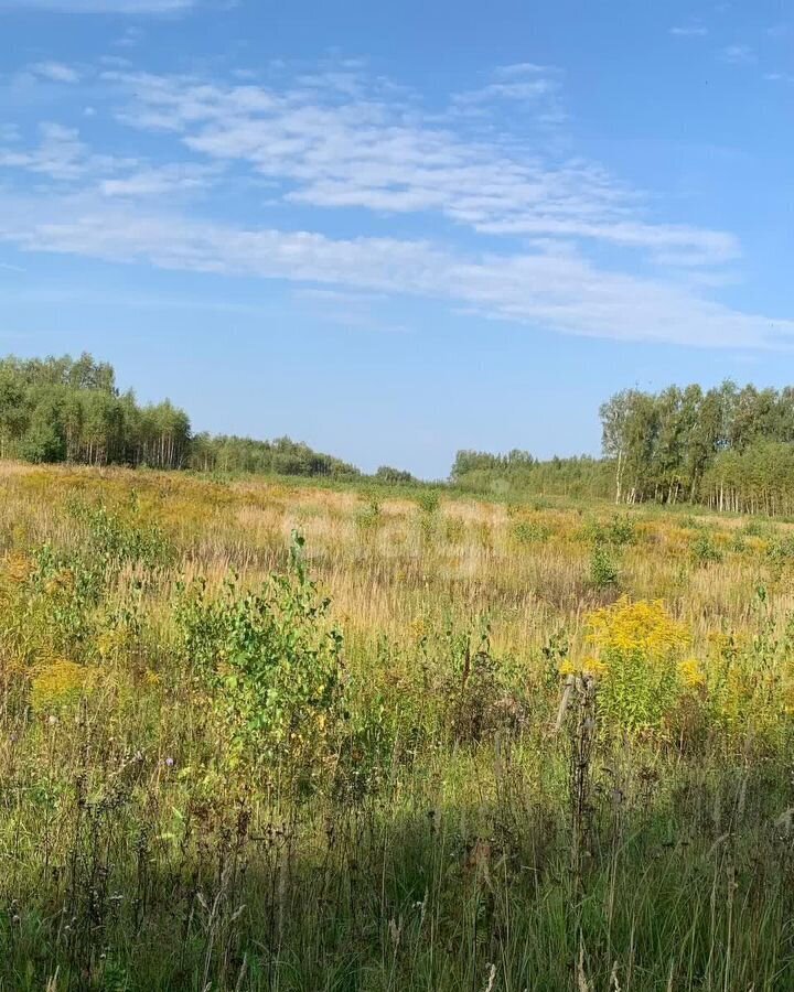 земля р-н Кстовский г Кстово фото 1