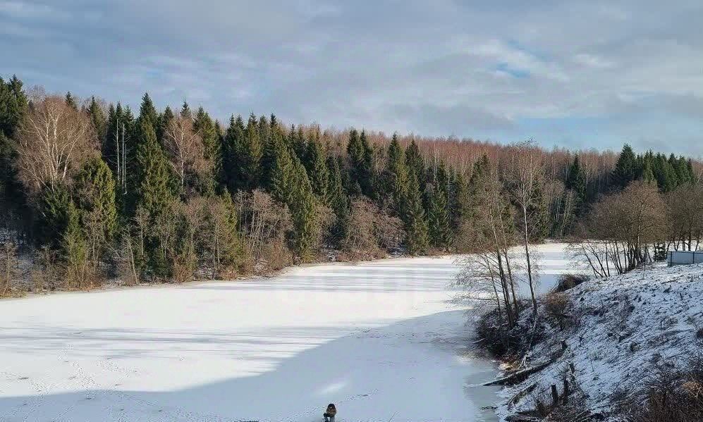 дом городской округ Солнечногорск д Соколово Зеленоград — Крюково, 174 фото 4