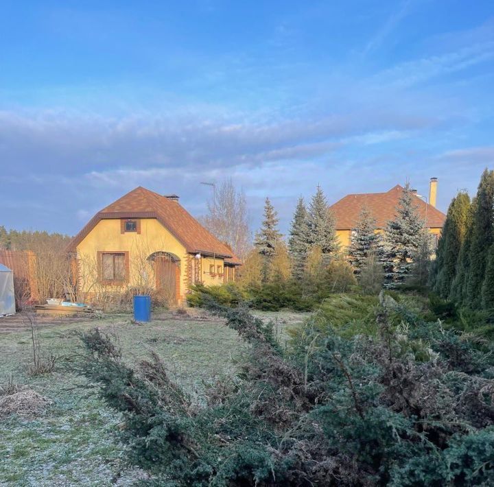 дом городской округ Богородский д Аборино 21 фото 5