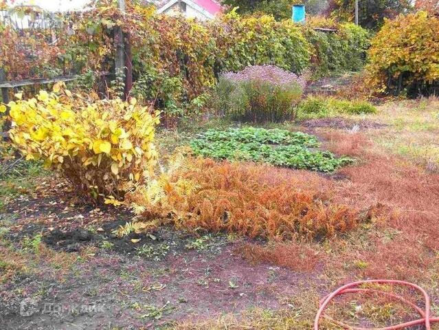 земля Самара городской округ, Кировский фото